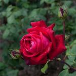 IMG_2283