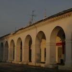 IMG_9481.JPG