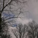 IMG_9322.JPG