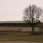 IMG_9141.JPG