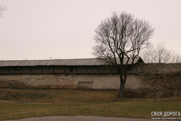 IMG_9141.JPG