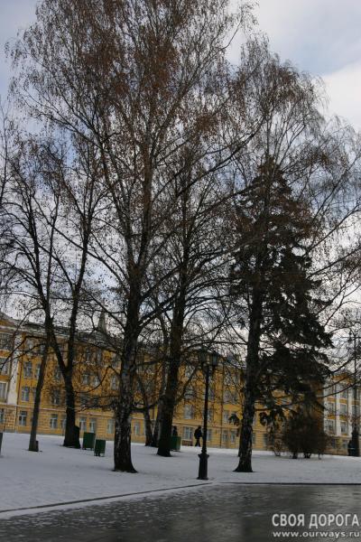 IMG_8771.JPG