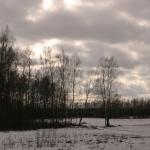 IMG_9330.JPG